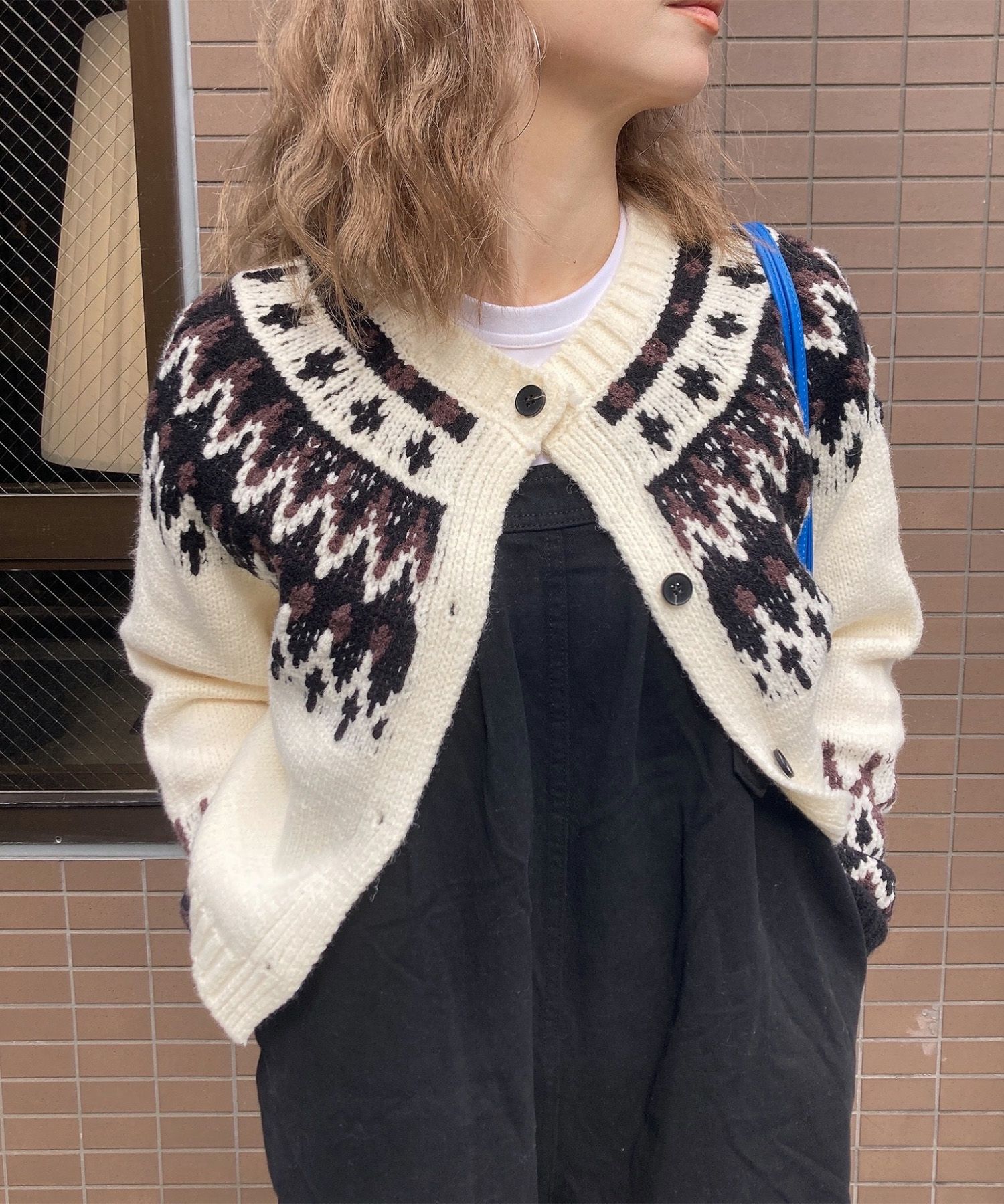 ノルディック柄クロップドニット | Nordic cropped knit (comochi select)